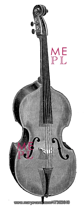 : Wurlitzer Double Bass
