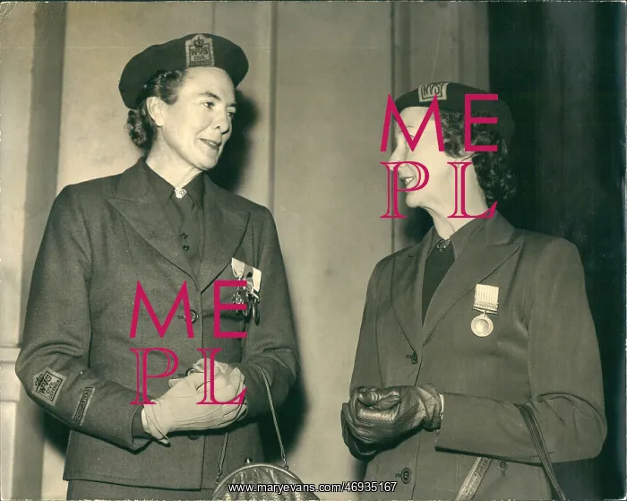 : WVS women at Buckingham Palace : WVS women at Buckingham Palace