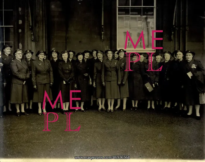 : WVS women at Buckingham Palace : WVS women at Buckingham Palace
