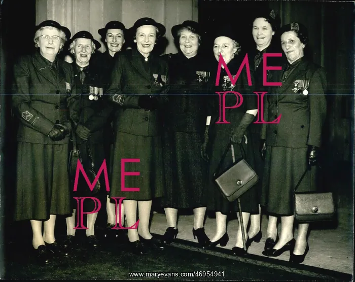 : WVS women at Buckingham Palace : WVS women at Buckingham Palace