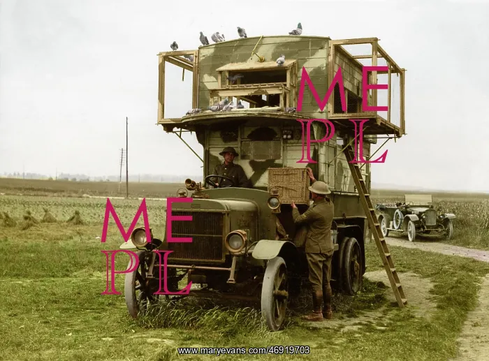 : WW1 100. WW1 - A B-type bus converted into a pigeon loft enabling messages to be sent : WW1 100. WW1 - A B-type bus converted into a pigeon loft enabling messages to be sent