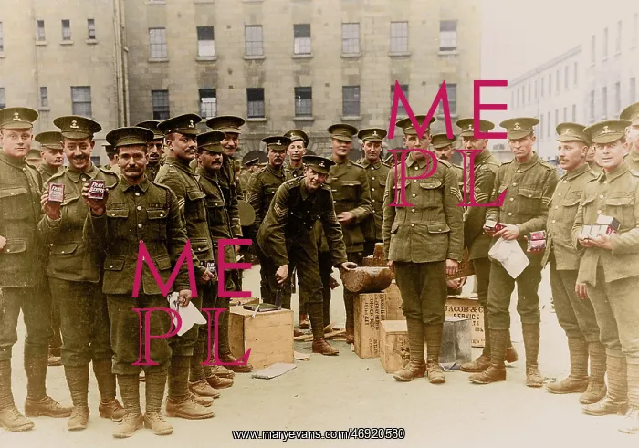 : WW1 100. WW1 - Royal Dublin Fusiliers opening provisions : WW1 100. WW1 - Royal Dublin Fusiliers opening provisions