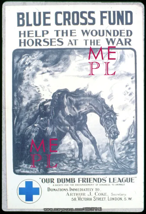 : WW1 - advertisement for Blue Cross Fund : WW1 - advertisement for Blue Cross Fund