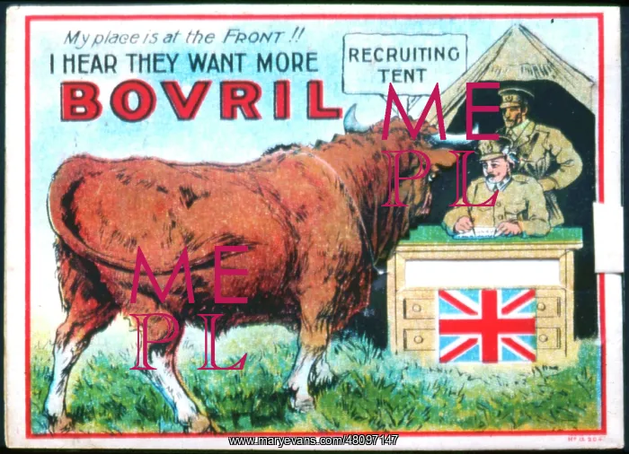 : WW1 - advertisement for Bovril : WW1 - advertisement for Bovril
