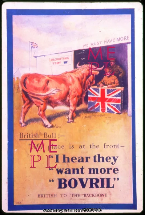 : WW1 - advertisement for Bovril : WW1 - advertisement for Bovril