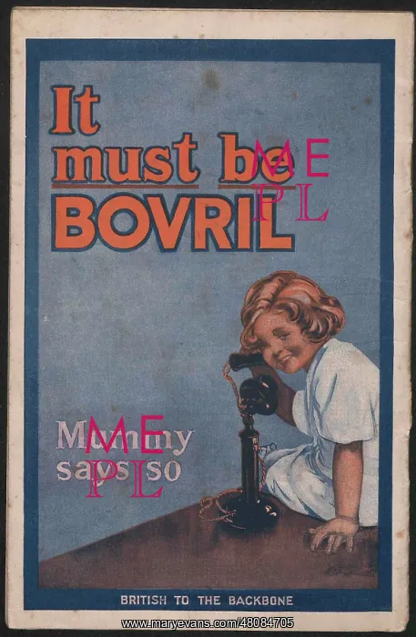 : WW1 - Bovril, Handy-Book & Diary of the War, back cover : WW1 - Bovril, Handy-Book & Diary of the War, back cover