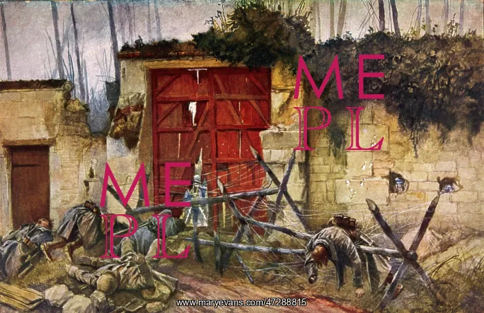 : WW1 / CASUALTIES : WW1 / CASUALTIES