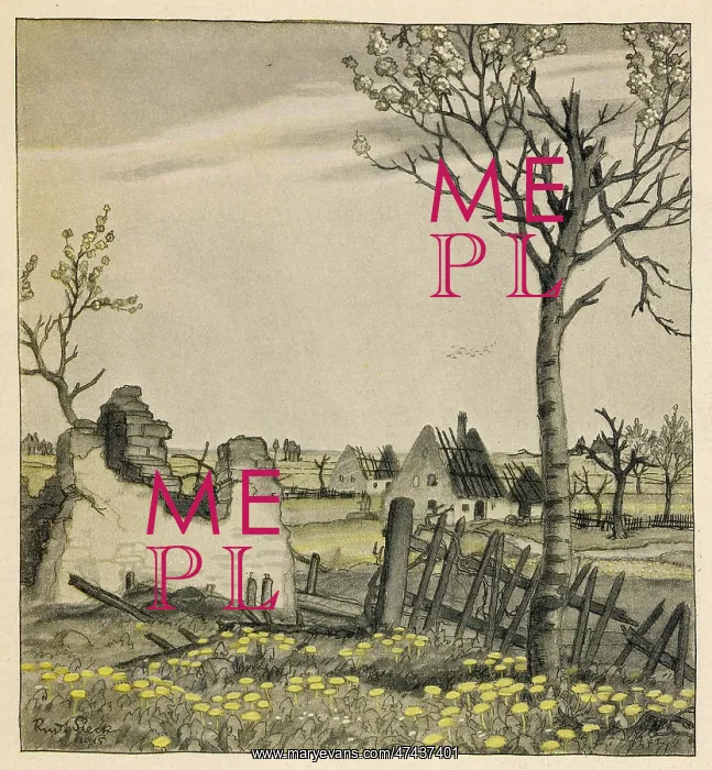  : WW1 DEVASTATION