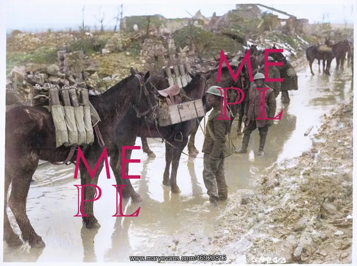 : WW1 Devastation in Colour : WW1 Devastation in Colour