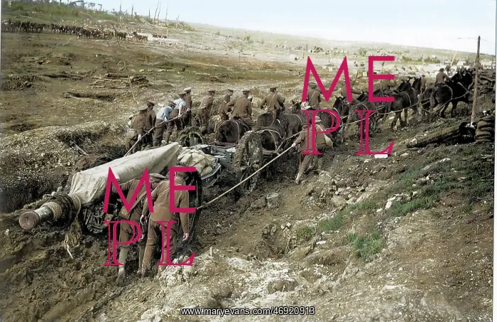 : WW1 Devastation in Colour : WW1 Devastation in Colour