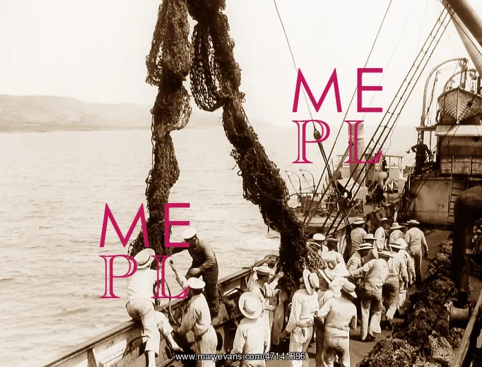 : WW1 Gallipoli British sailors deploying submarine nets : WW1 Gallipoli British sailors deploying submarine nets