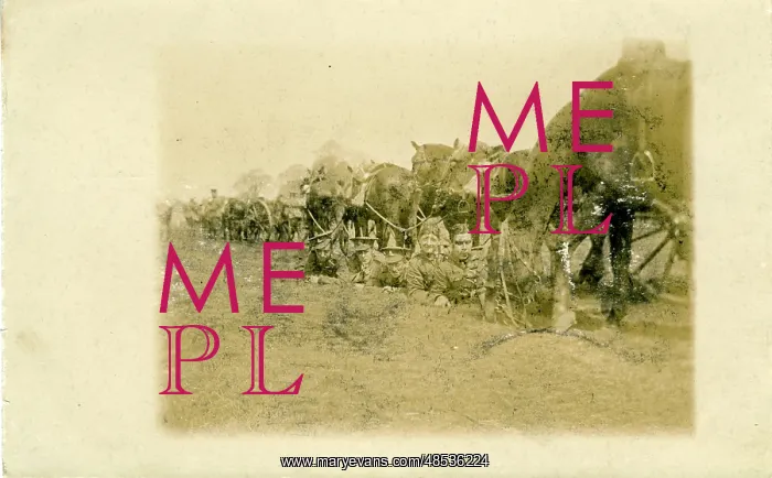: WW1 Gunners in Trench & Horses : WW1 Gunners in Trench & Horses