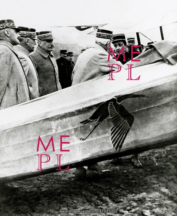 : WW1 - Guynemer gets his Captain's stripes, 3rd March 1917 : WW1 - Guynemer gets his Captain's stripes, 3rd March 1917