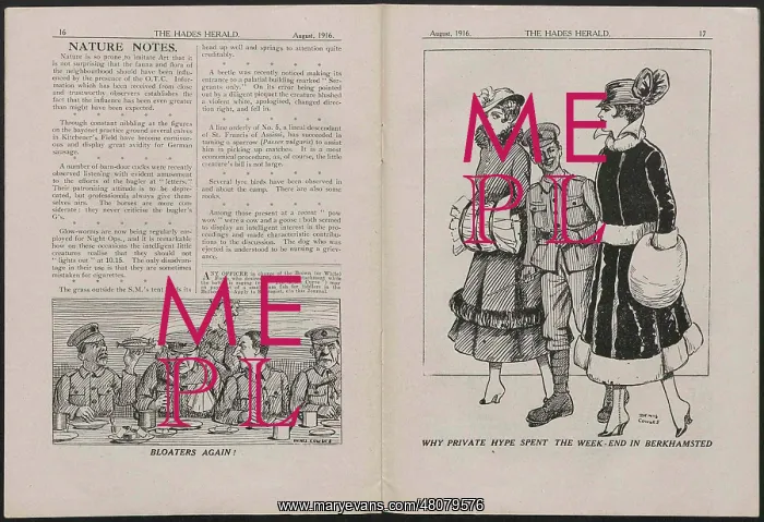 : WW1 - The Hades Herald, two pages : WW1 - The Hades Herald, two pages