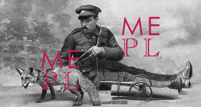  : WW1 mascot: a fox in a harness