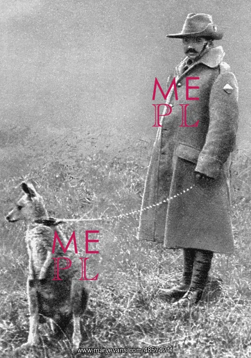  : WW1 mascots: a kangaroo and soldier