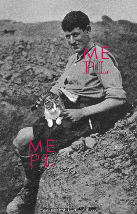: WW1 mascots: a trench cat : WW1 mascots: a trench cat