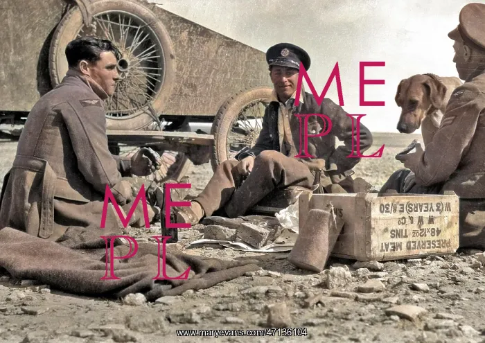  : WW1 - Men in uniform having a picnic - Mesoptamian Front?