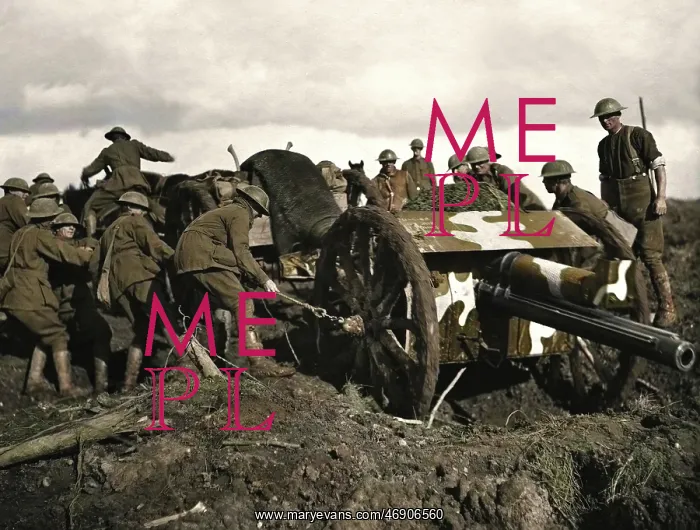 : WW1 - Passchendaele in colour : WW1 - Passchendaele in colour