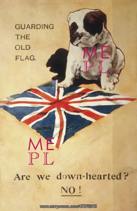  : WW1 POSTCARD BULLDOG