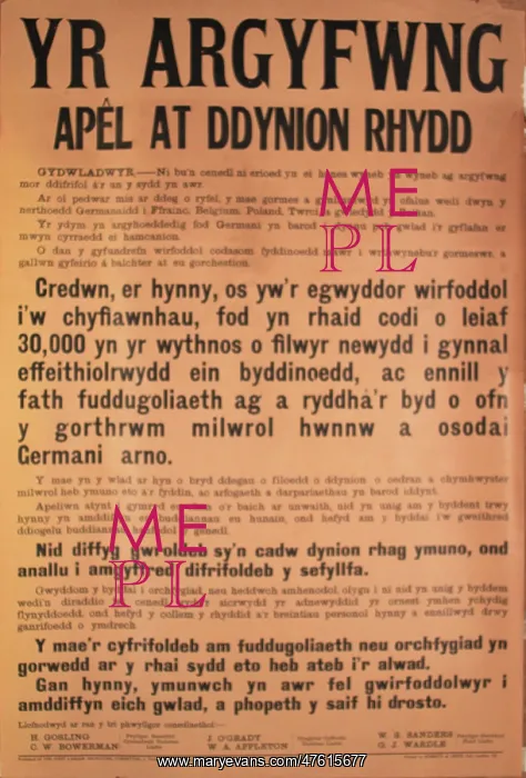 : WW1 recruitment poster, The Crisis (Welsh version) : WW1 recruitment poster, The Crisis (Welsh version)
