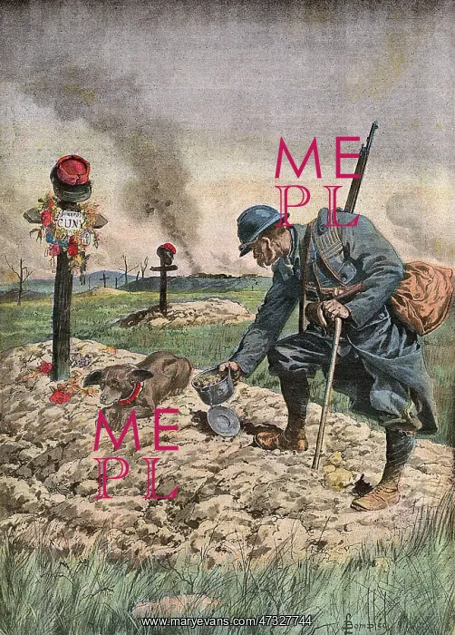 : WW1 SOLDIER'S FRIEND : WW1 SOLDIER'S FRIEND