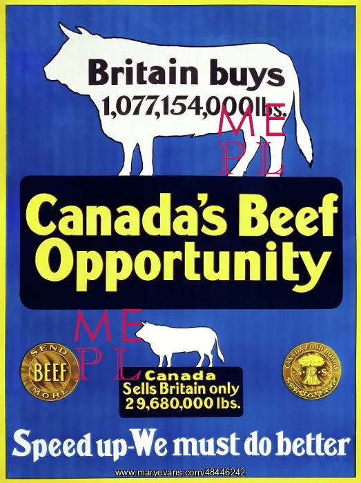 : WW1 statistics mentioning the volume of beef that : WW1 statistics mentioning the volume of beef that