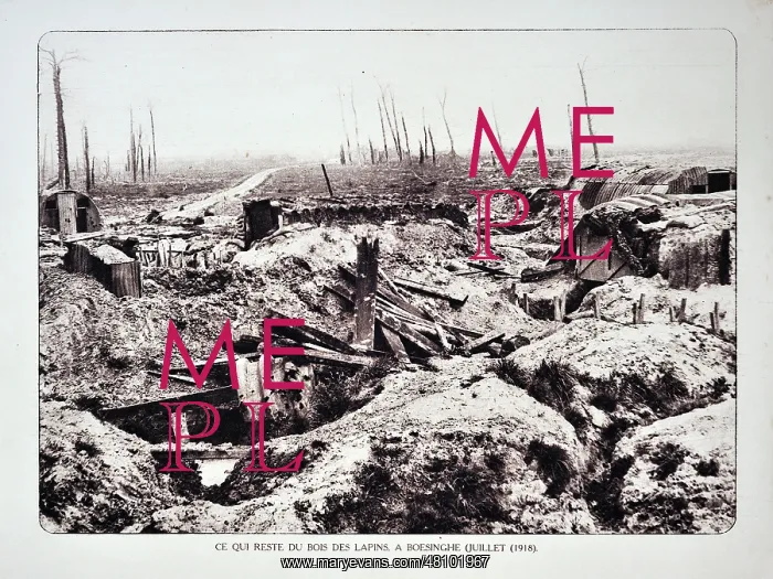 : WW1 - Trenches and broken trees of forest after bombardment : WW1 - Trenches and broken trees of forest after bombardment