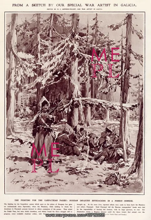 : WW1 - war in Galician - Russian troops bivouacking : WW1 - war in Galician - Russian troops bivouacking