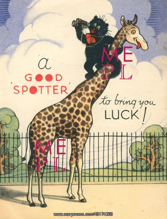 : WW2 Birthday Card, A Good Spotter : WW2 Birthday Card, A Good Spotter