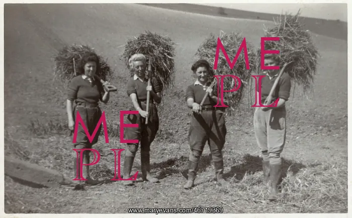 : WW2 - British Land Girls at work : WW2 - British Land Girls at work