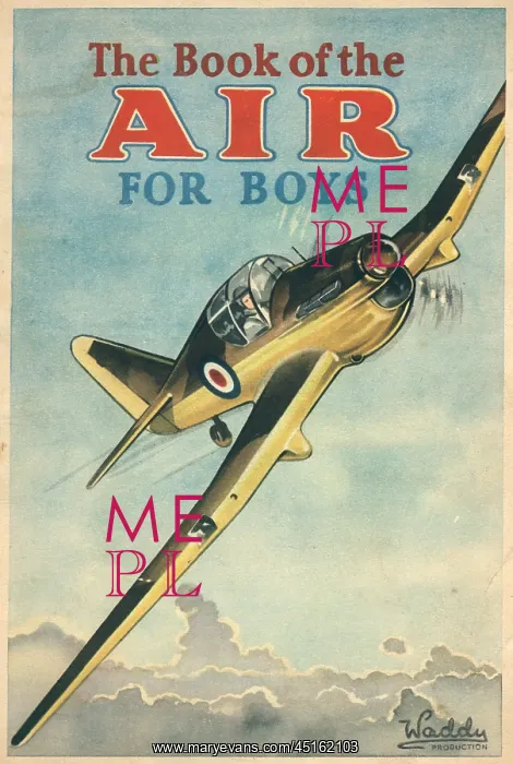 : WW2 Fighter Plane : WW2 Fighter Plane
