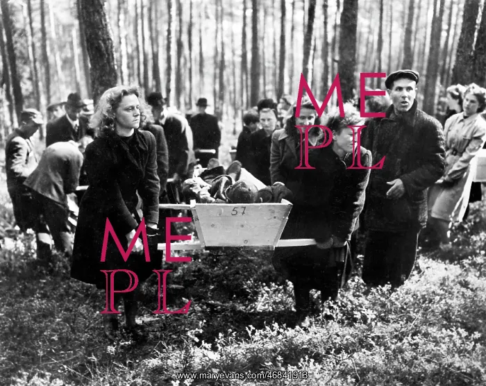 : WW2 - holocaust - death - Germany : WW2 - holocaust - death - Germany