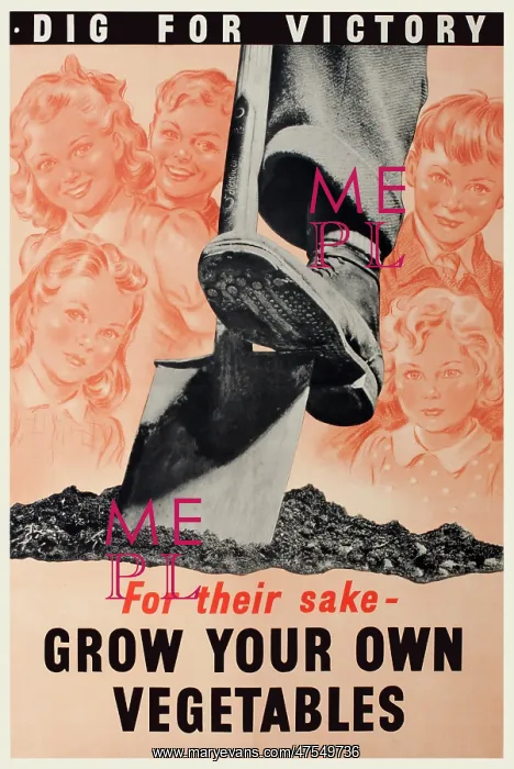 : WW2 Home front poster - Dig for Victory : WW2 Home front poster - Dig for Victory