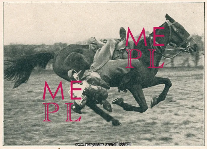 : WW2, Horsemanship : WW2, Horsemanship