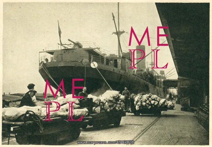 : WW2 Merchant Navy Food Import : WW2 Merchant Navy Food Import