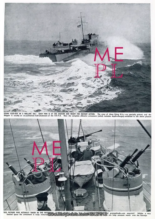 : WW2 - The Motor Launches of E-Boat Alley : WW2 - The Motor Launches of E-Boat Alley