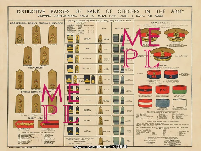 : WW2 Poster -- Army Officer and other badges : WW2 Poster -- Army Officer and other badges