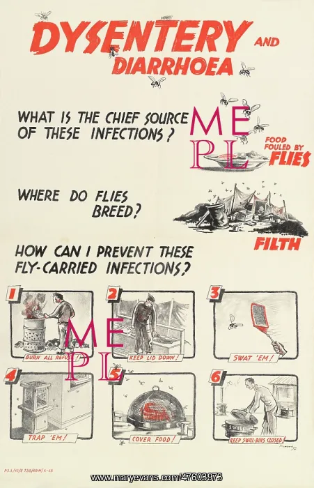 : WW2 Poster -- Dysentery and Diarrhoea : WW2 Poster -- Dysentery and Diarrhoea