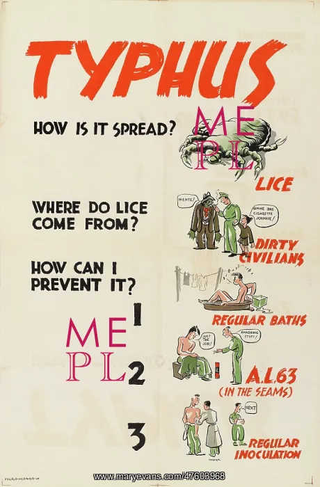 : WW2 Poster -- Typhus, How Is It Spread? : WW2 Poster -- Typhus, How Is It Spread?