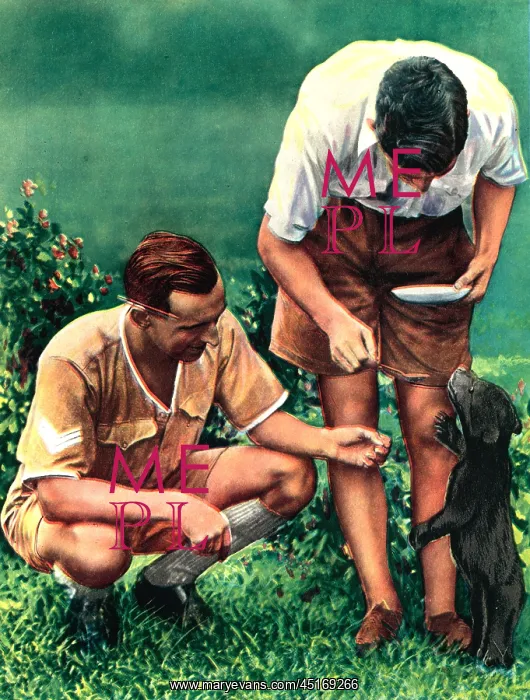 : WW2 - A Singapore Mascot Of The R.A.F : WW2 - A Singapore Mascot Of The R.A.F