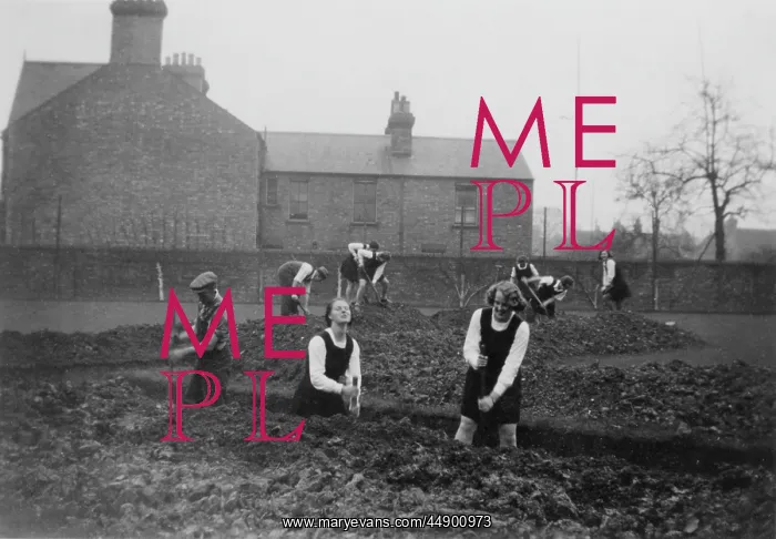 : WW2 - Students digging trenches - Munich crisis : WW2 - Students digging trenches - Munich crisis