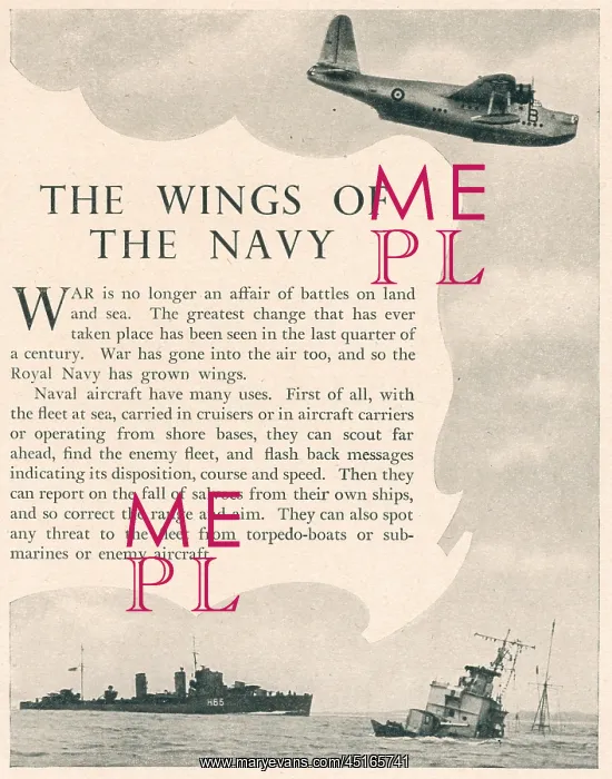 : WW2, The Wings Of The Navy : WW2, The Wings Of The Navy