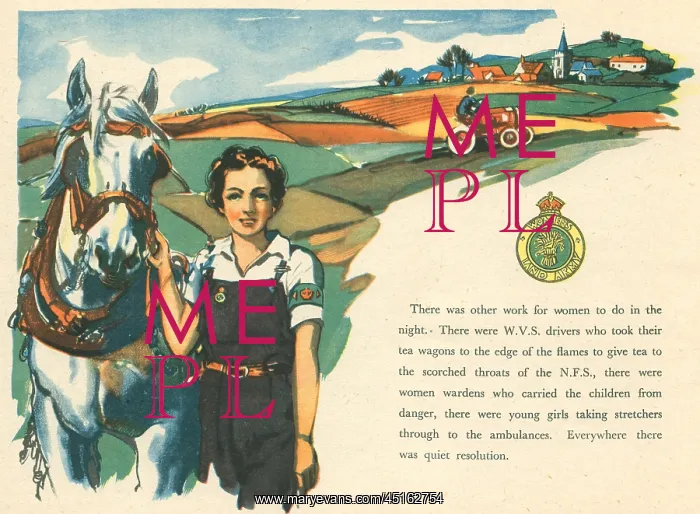 : WW2, Women's Land Army : WW2, Women's Land Army