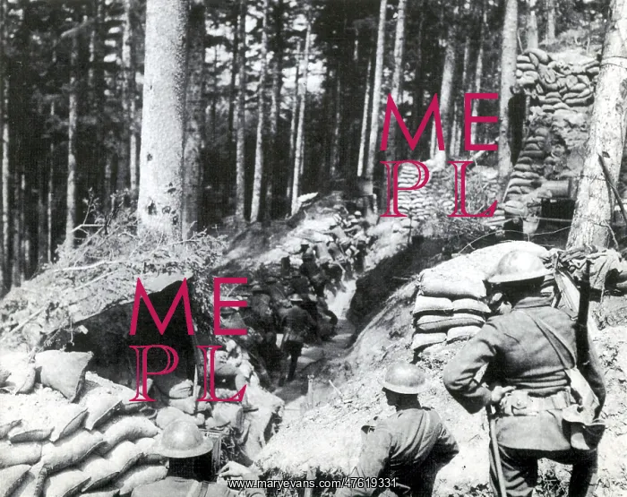 : WWI, AEF Holding Trench : WWI, AEF Holding Trench
