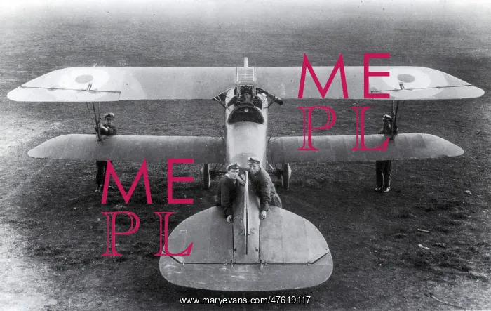 : WWI, Albatros D.III Fighter Plane : WWI, Albatros D.III Fighter Plane