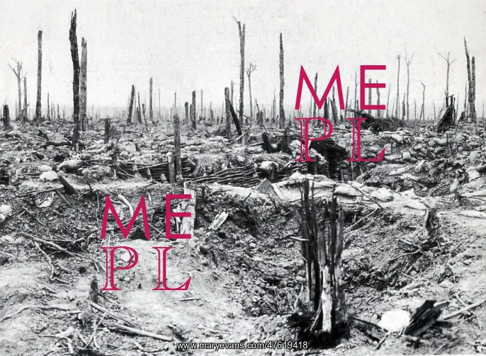 : WWI, Battle of Messines Ridge, 1917 : WWI, Battle of Messines Ridge, 1917