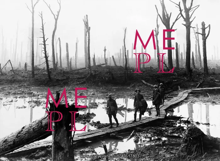 : WWI, Battle of Passchendaele, 1917 : WWI, Battle of Passchendaele, 1917