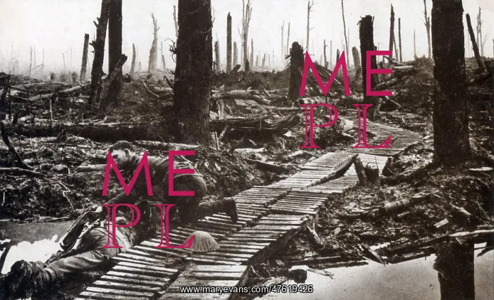 : WWI, Battle of Passchendaele, 1917 : WWI, Battle of Passchendaele, 1917