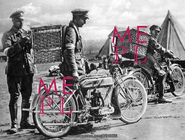 : WWI, BEF Transporting Carrier Pigeons : WWI, BEF Transporting Carrier Pigeons